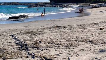 House, 2 Bedrooms, Accessible, Smoking | Beach