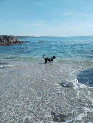 Casa, 2 habitaciones, con acceso para personas discapacitadas, para fumadores | Playa