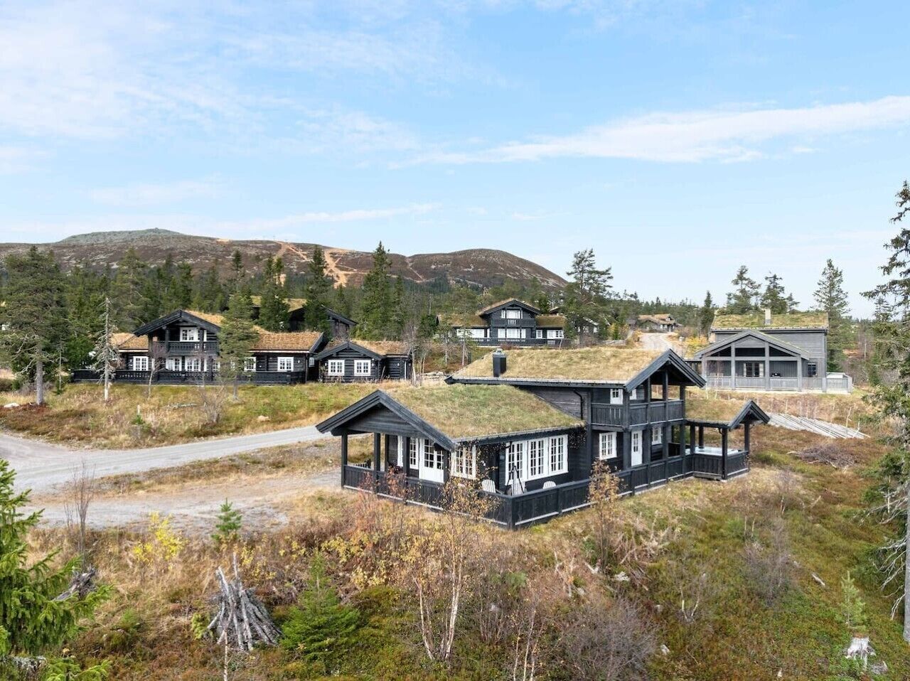 Un ensemble de chalets reliés par un chemin de terre, entourés de forêt et de collines.