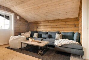 Fernseher, Kamin