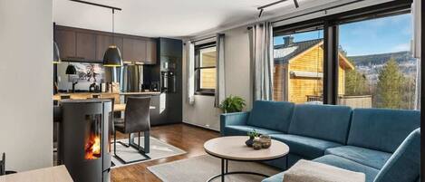 TV, fireplace, offices