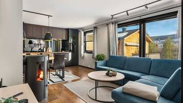 TV, fireplace, offices