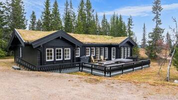 Udendørsområde