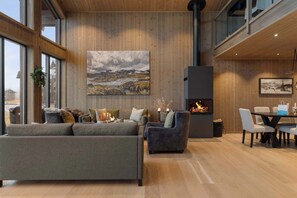 تلفزيون، مدفأة