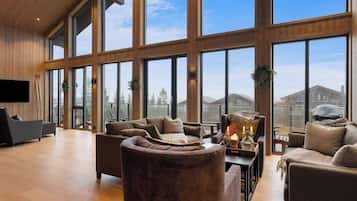 تلفزيون، مدفأة