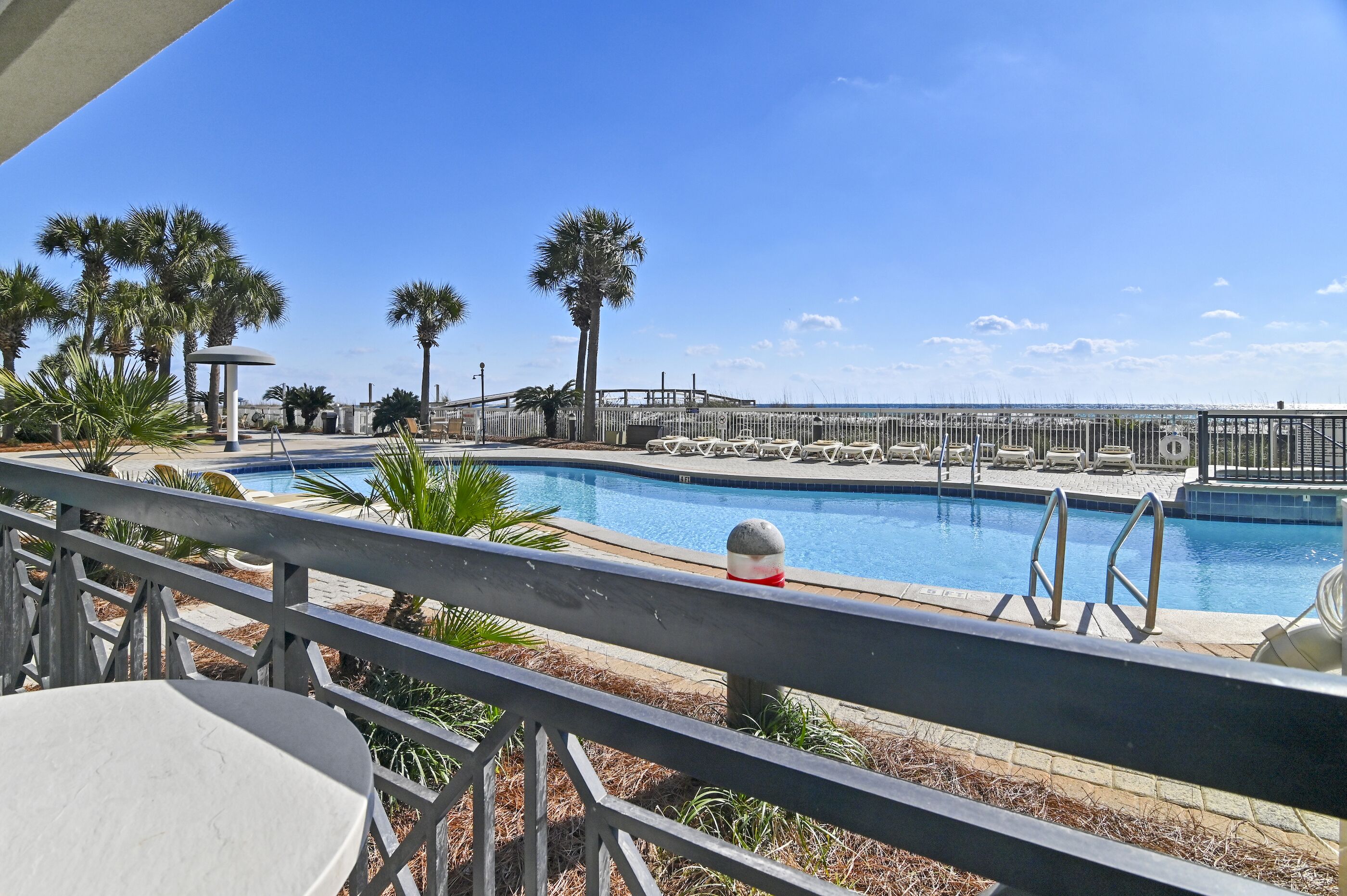 A swimming pool with lounge chairs and palm trees, surrounded by a fence and a view of the ocean.