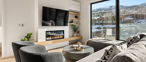 TV, fireplace, stereo, offices