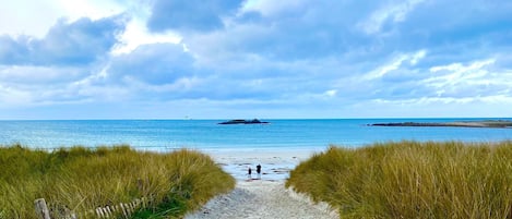 Playa en los alrededores