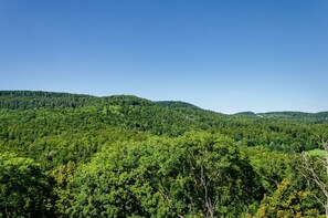 Miscellaneous - Apartment "Double Room with Private Bathroom" (Stolberg i. Harz)