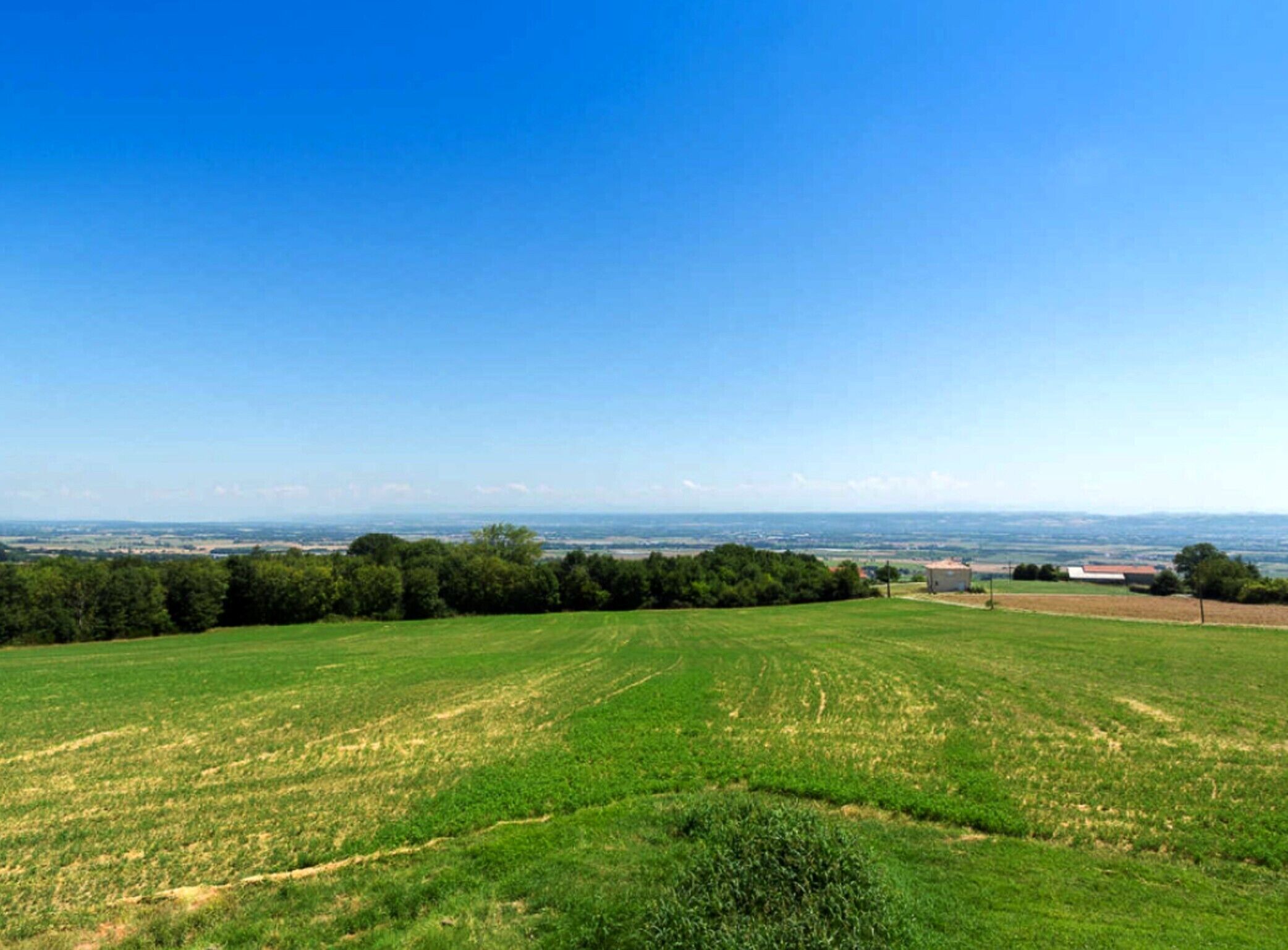 Ein weites, grünes Feld unter einem strahlend blauen Himmel.