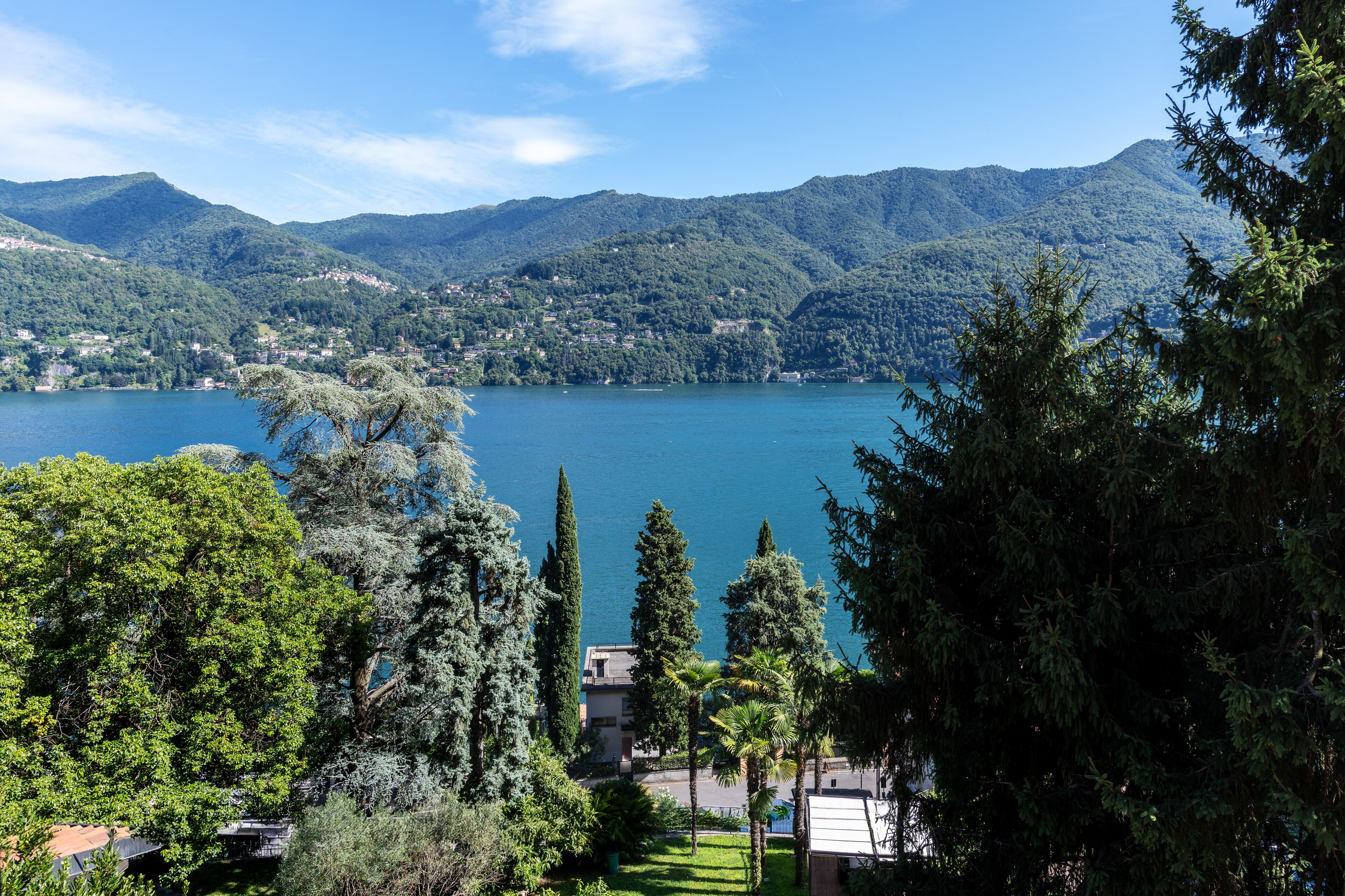 A lakeside view with mountains in the background, surrounded by lush greenery and trees.