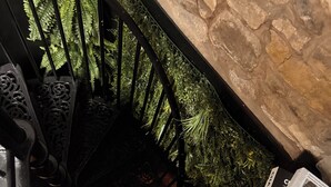 Eine Treppe mit einer Steinmauer, einem schwarzen Metallgeländer und grünen Pflanzen.