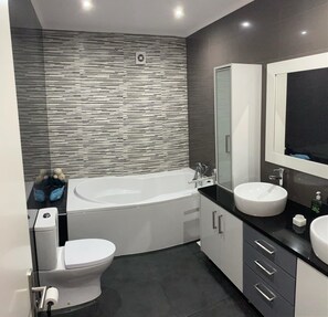 Shower, hair dryer, bidet, towels