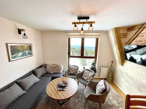 Standard Duplex, Mountain View | Living area