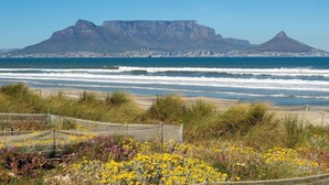A coastal view with a prominent mountain in the background, a sandy beach, and a variety of wildflowers in the foreground. - 19 Ascension (Cape Town)
