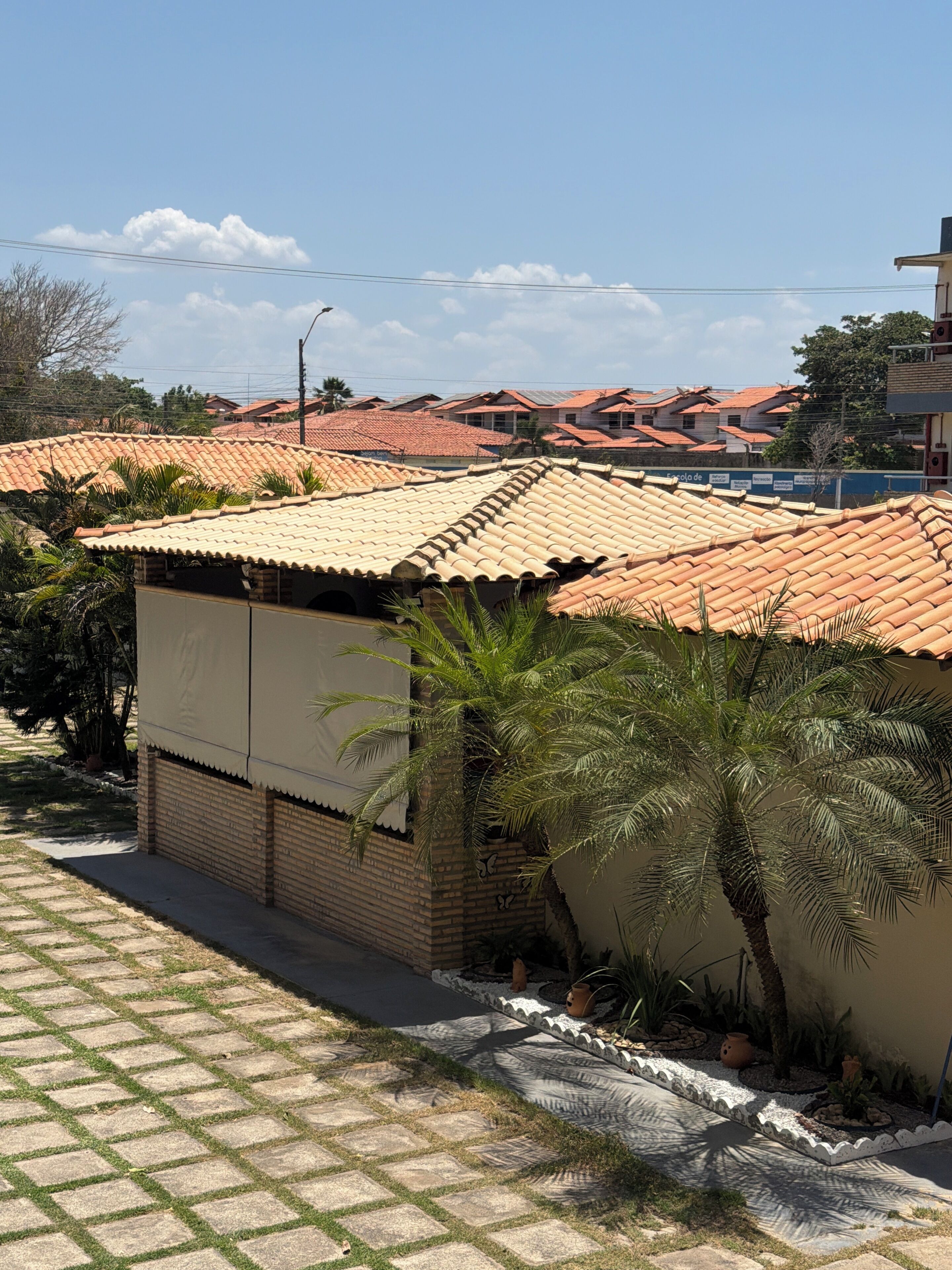 A residential area with terracotta-tiled roofs, a paved pathway, and a palm tree.