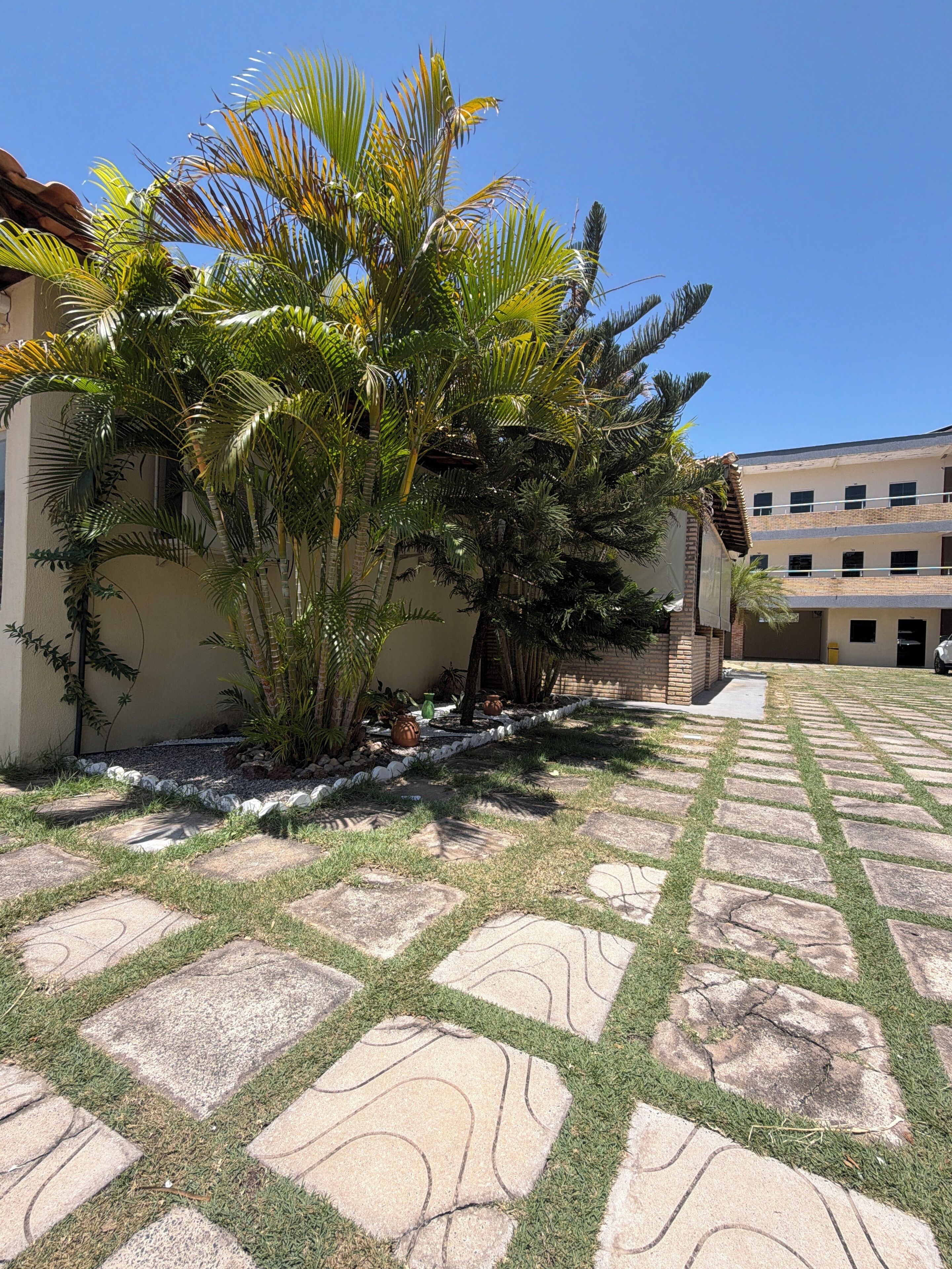 A courtyard with palm trees, a paved walkway, and a building with multiple windows.