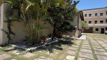 A courtyard with palm trees, a paved walkway, and a building with multiple windows.