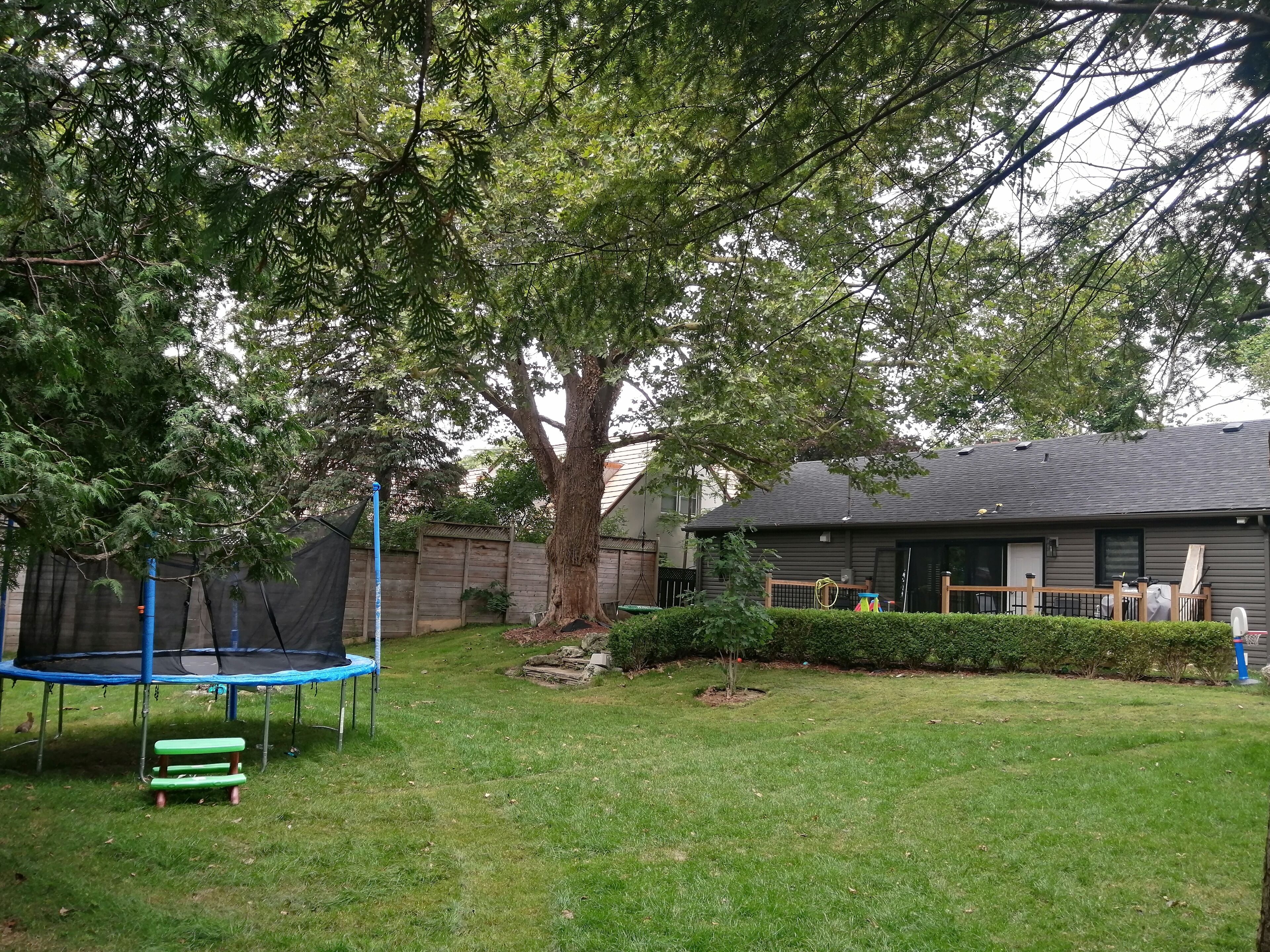 منطقة الأطفال