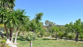 Àrea exterior de l'allotjament