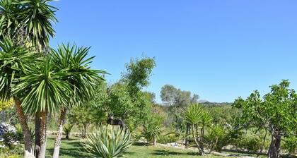 Auténtica casa de campo mallorquina. Dos neveras y dos lavavajillas. Cerca del campo de golf de Pollensa. Piscina de agua salada.