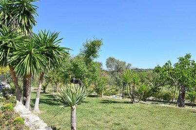 Authentic Mallorcan countryhouse. Two Fridges, Two Dishwashers. Nearby Golf Pollensa. Salt pool water.