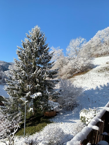 Holiday Apartment in the Picturesque Kleines Wiesental