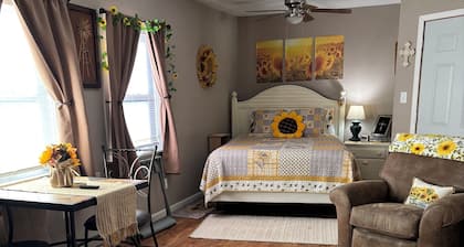A Cozy Sunshine Suite in charming Hutchinson KS