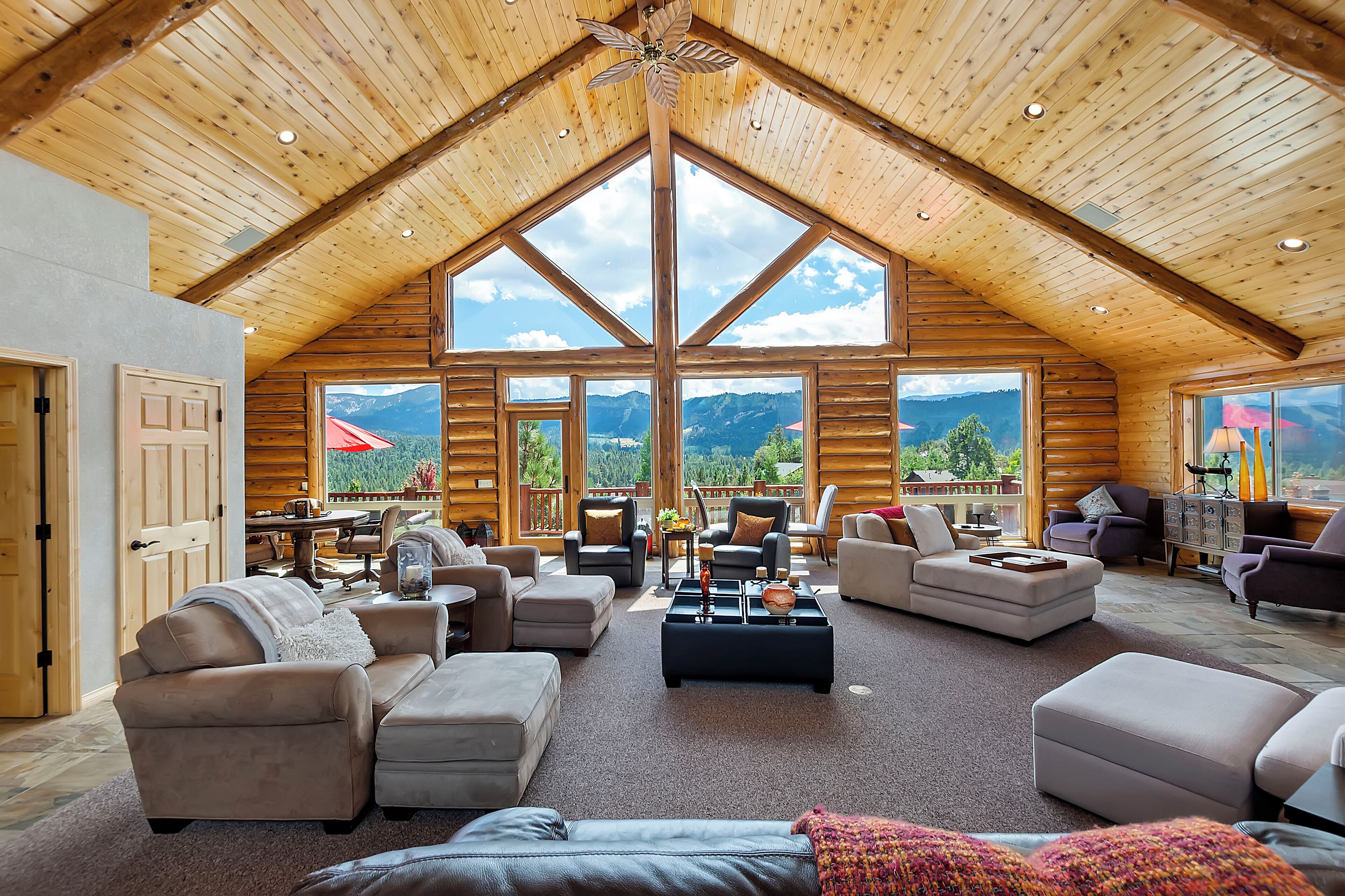 Smart TV, fireplace, video games, DVD player