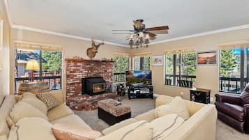 Smart TV, DVD player, video library