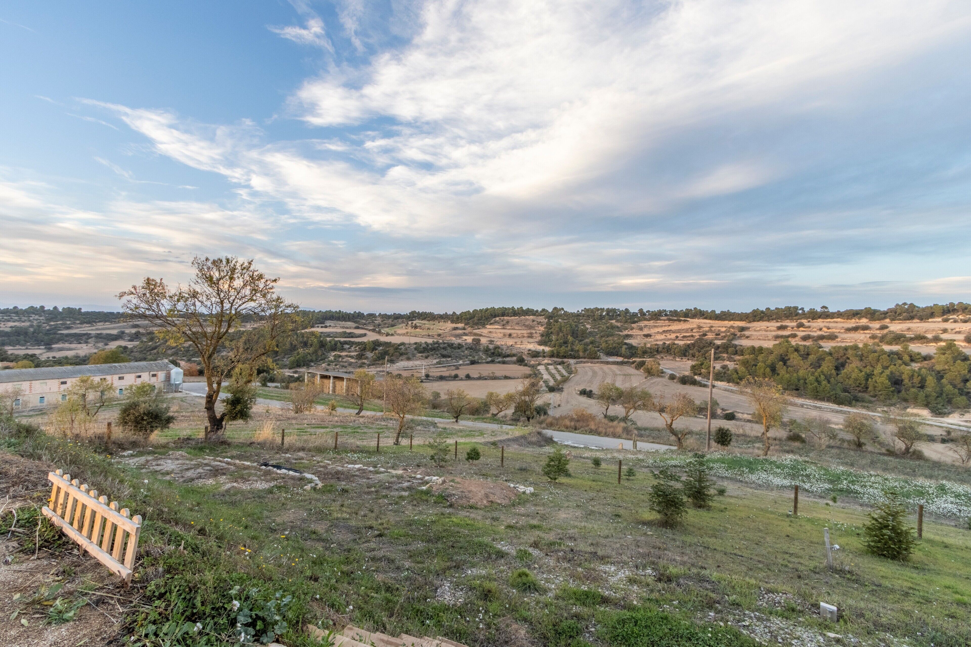 A rural landscape with a dirt road, a wooden bench, and a building in the distance.