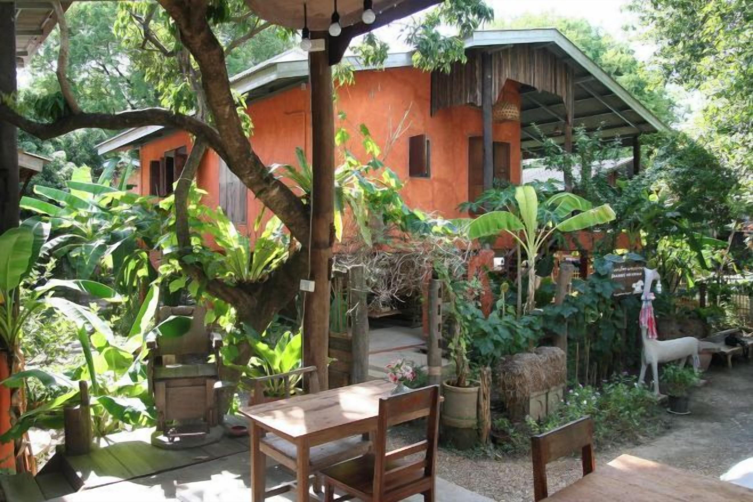 Un edificio rústico con techo de paja, rodeado de abundante vegetación y plantas en macetas.