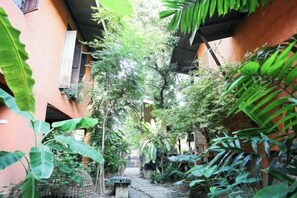 Garden - Baannoi Retreat and Stay Chiang Mai (Chiang Mai)