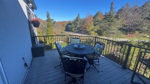 Outdoor dining - Charming 3-bedroom house on the edge of town in pleasant Petoskey (Petoskey)