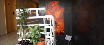 บลู ไวกิ้ง สตูดิโอ  