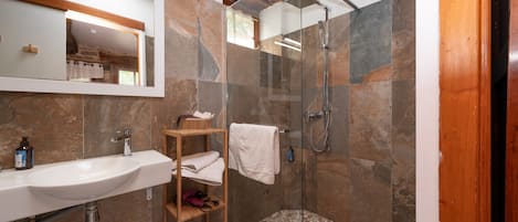 Shower, hair dryer, towels