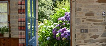 Gîte Peigne de Vénus – Between Land and Sea in the Heart of Brittany