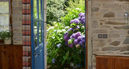 Gîte Peigne de Vénus – Between Land and Sea in the Heart of Brittany