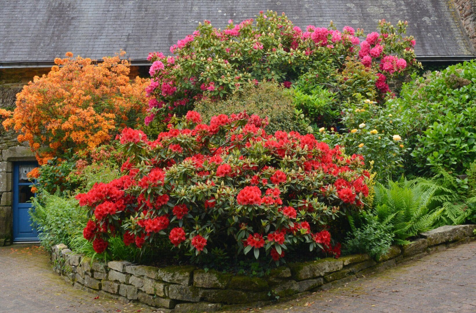 Overnatningsstedets område