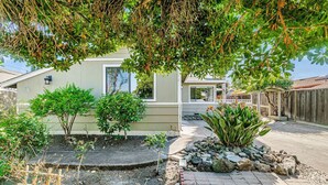 A single-story house with a small garden area, a paved driveway, and a wooden fence.