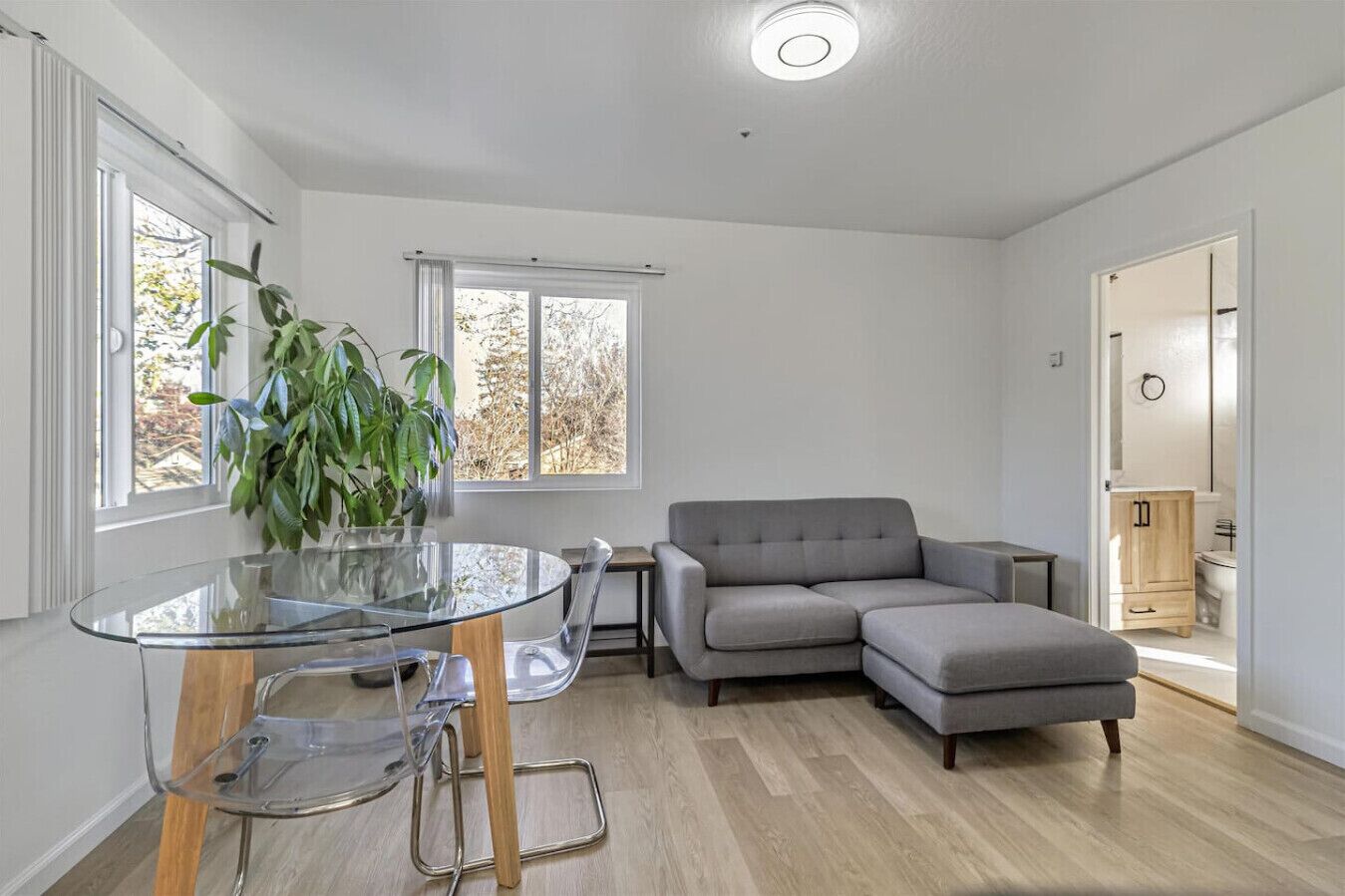 Downtown 1bd/1ba Adu - Mountain View, CA
