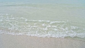 A beach with clear water and gentle waves. - Beachfront Paradise! Ground level with Heated pool (Holmes Beach)