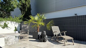 Leilighet – deluxe, 1 queensize-seng med sovesofa, ikke-røyk, kjæledyr tillatt | Terrasse/patio