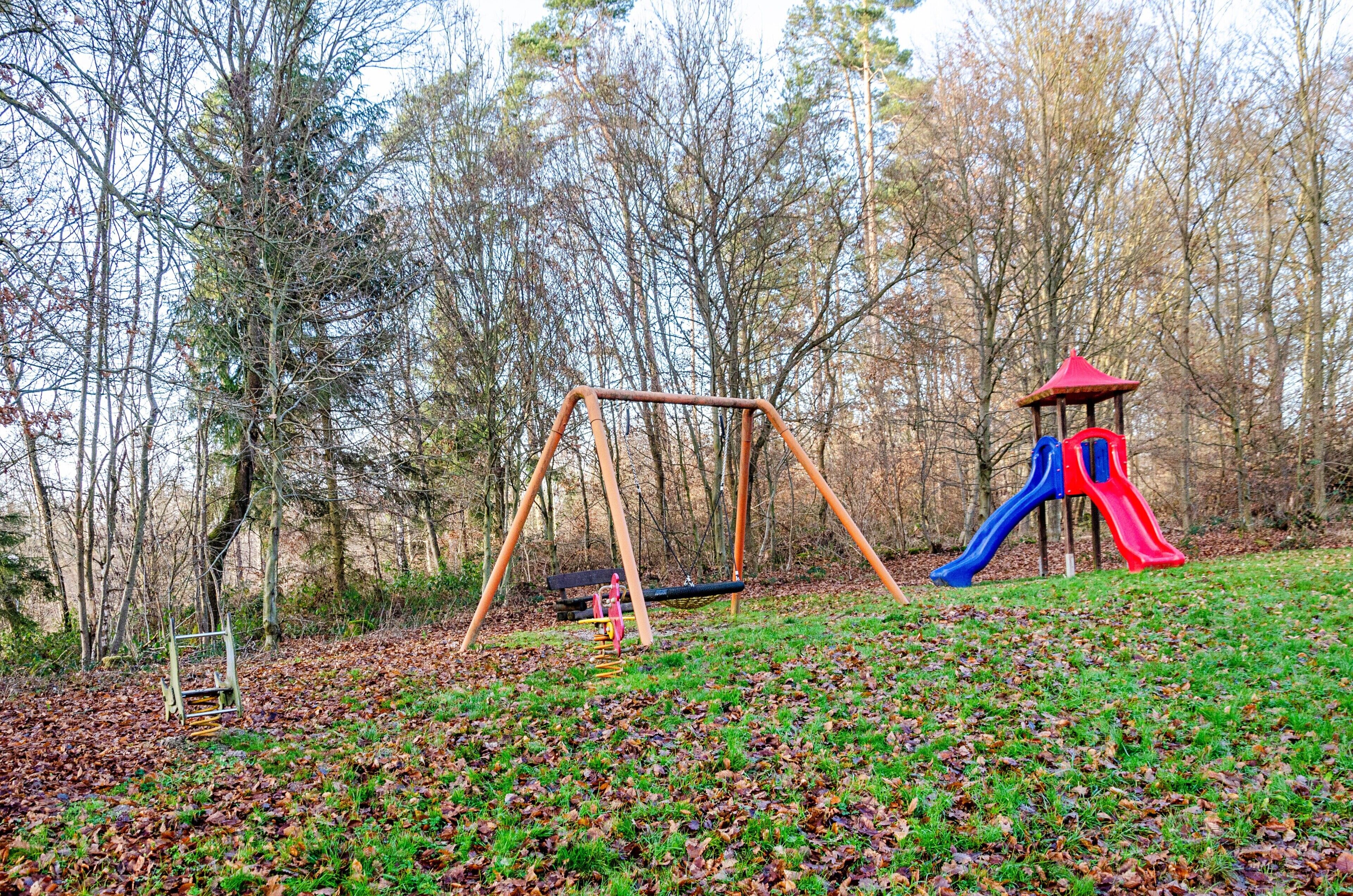 Ein Spielplatz mit Schaukeln und Rutsche, umgeben von Bäumen.