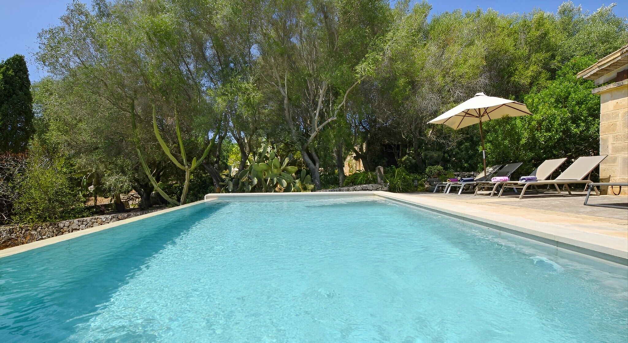 Une piscine rectangulaire à l’eau d’un bleu cristallin, entourée d’arbres et d’un mur de pierre.