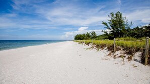 A sandy beach with a clear sky and ocean.