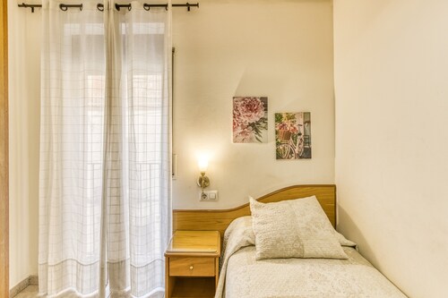 Single Room at Hostal Barretina