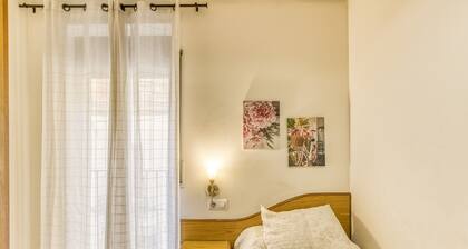 Single Room at Hostal Barretina