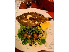 الطعام والشراب