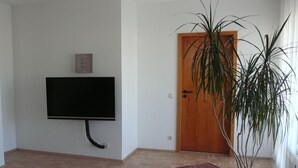 A room with a mounted TV, a wooden door, a potted plant, and a patterned rug.